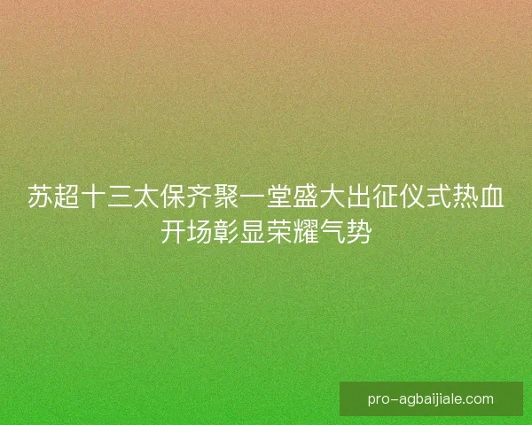 苏超十三太保齐聚一堂盛大出征仪式热血开场彰显荣耀气势